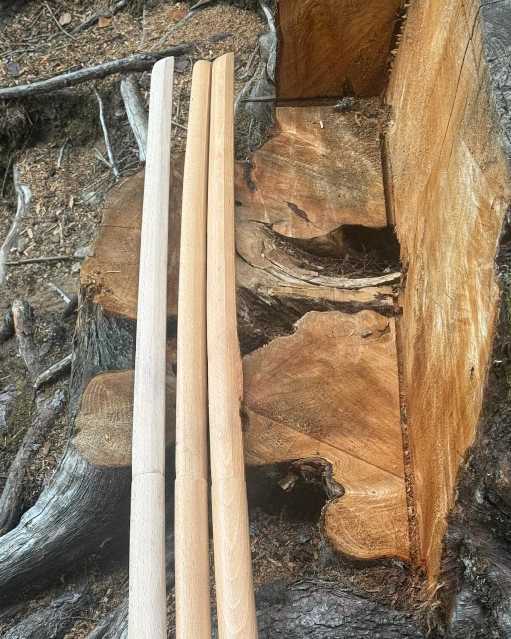 Unadorned wooden bokkens leaning against a tree before the creative process